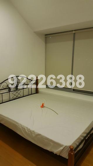 The Linear (D23), Apartment #125730282